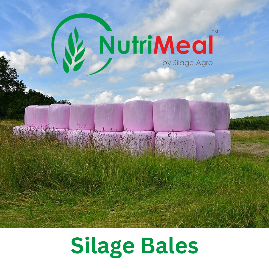 Silage Bales