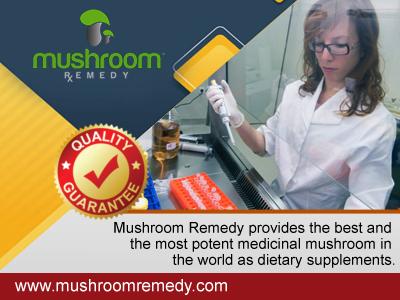 Mushroom Remedy | Best of Nature – Natural cure with mushrooms extracts