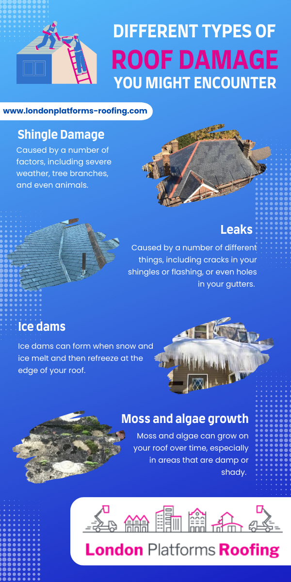 Different Types of Roof Damage You Might Encounter