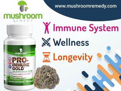 Mushroom Remedy | Best of Nature – Natural cure with mushrooms extracts