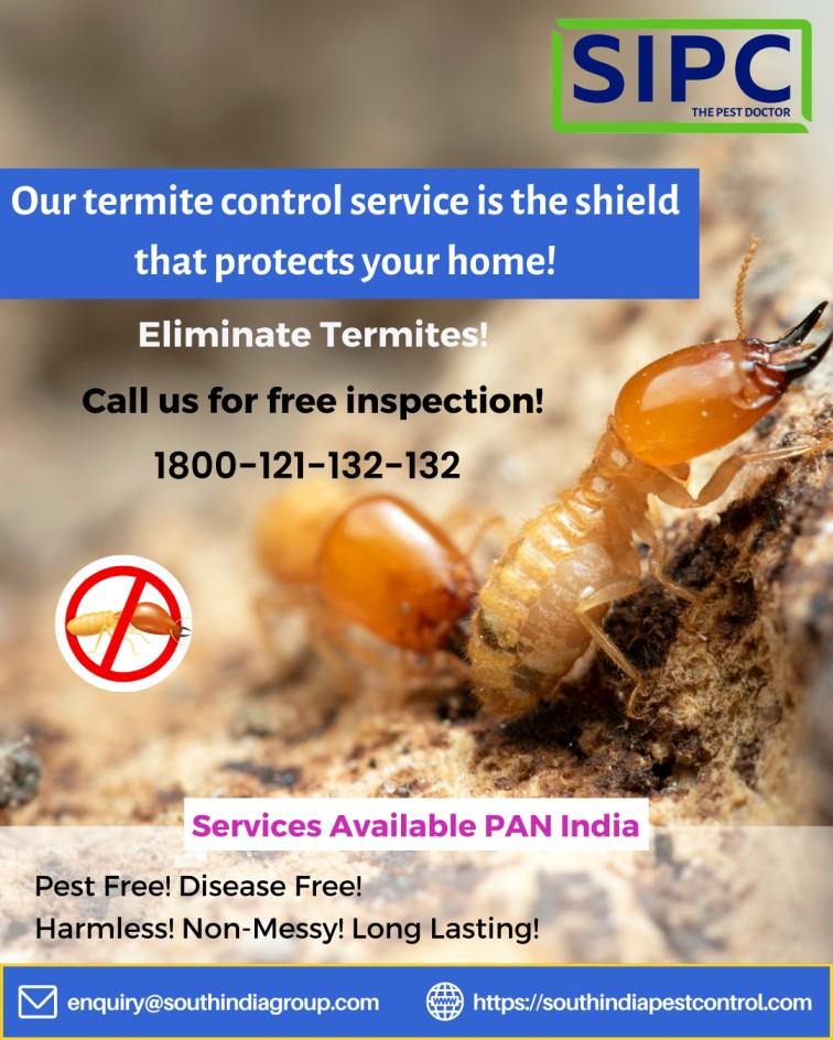 Termite Control Delhi