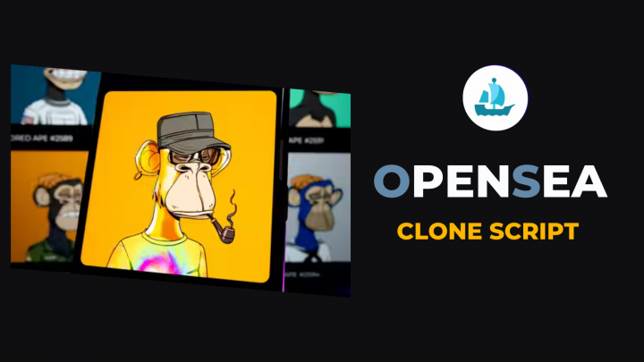 Grab a 100% customizable OpenSea clone app at $5K