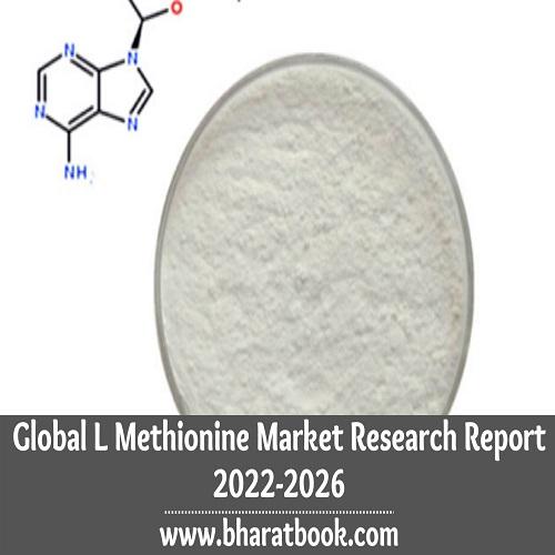 Global L Methionine Market Research Report 2022-2026