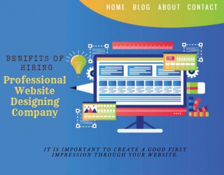What are the benefits of hiring a professional website designin