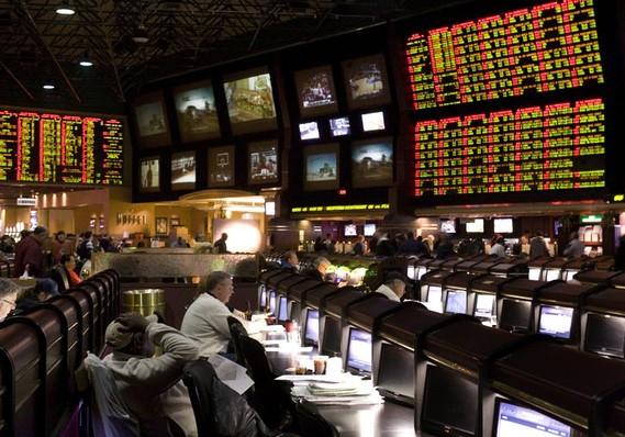 How Much Money Do People Win in Sports Betting?