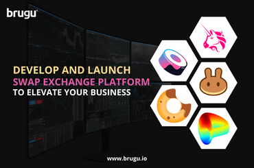 Swap Exchange Platform - A Key of Investing! 