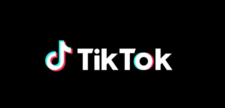 The top 5 websites in 2022 for downloading TikTok videos
