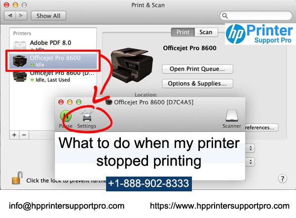 What to do when my printer stopped printing? 