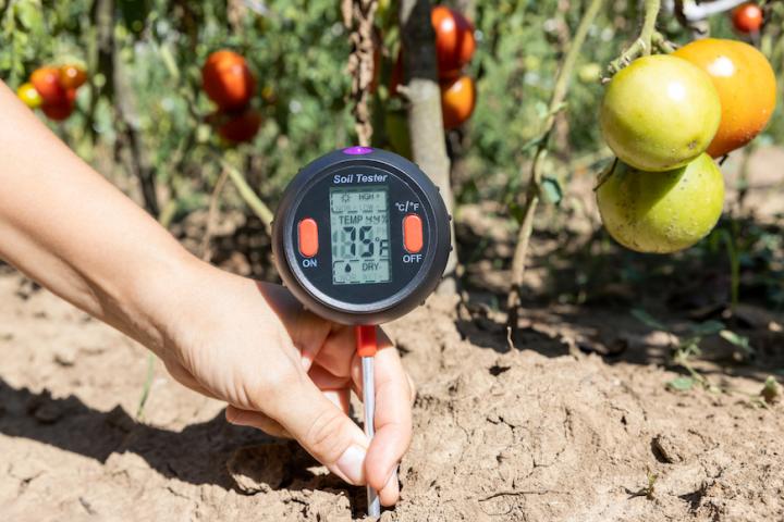 What Is A Soil Thermometer And How Do You Measure It