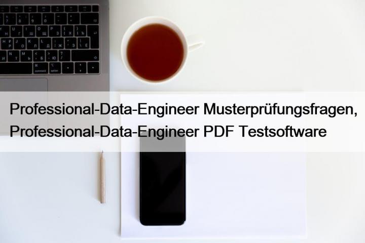 Professional-Data-Engineer Musterprüfungsfragen, Professional-D