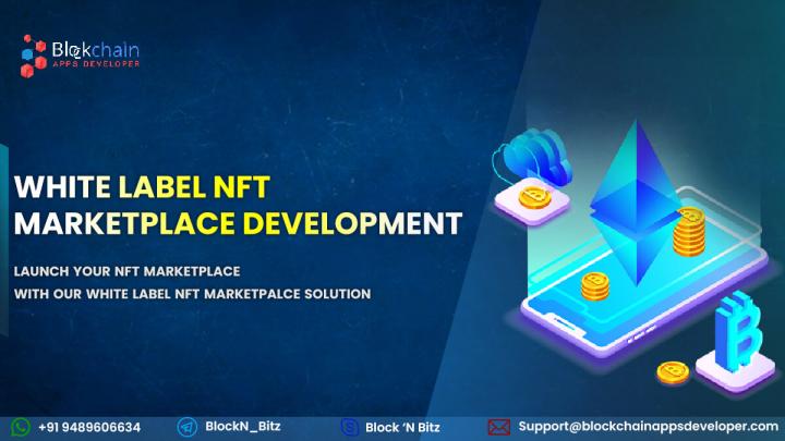 White Label NFT Marketplace Development - Build an Efficient Bu