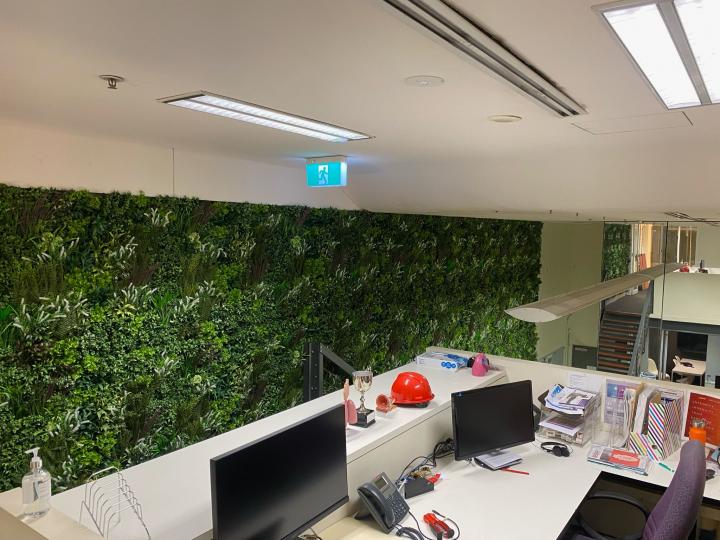 Greening Your Space with Artificial Green Walls