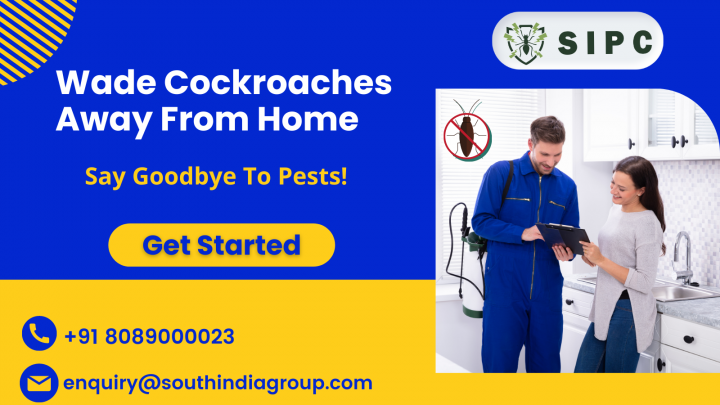 Cockroach Control in Banglore