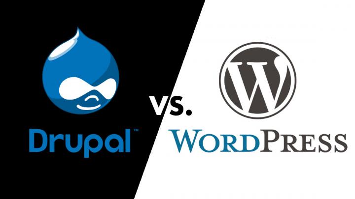 Web Development Services |Drupal To WordPress Theme
