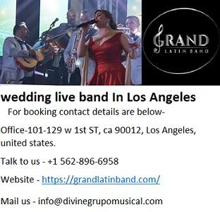 Hire versatile Latin wedding live band In Los Angeles.