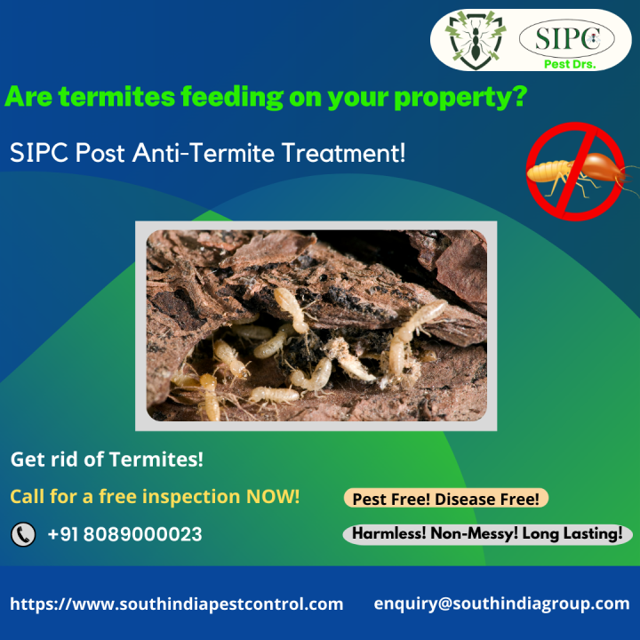 Termite Control Services in Kochi