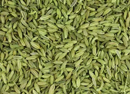 Organic Fennel Seeds 1.2MT FOB Price - Kaltivator Groups