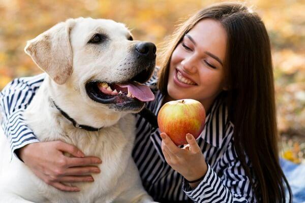 Can Dogs Eat Apples - Is it safe to consume Apple Products?
