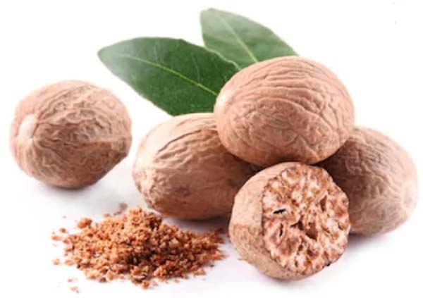 Organic Nutmeg 100 Kgs. FOB Price - Kaltivator Groups